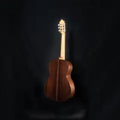 Chitarra classica in legno scuro, con manico chiaro e meccaniche dorate. Evoca le melodie di Francisco Tárrega.