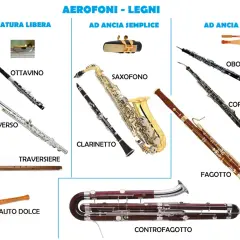 Vari strumenti a fiato in legno: flauto, clarinetto, sassofono, oboe, fagotto e controfagotto.