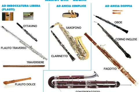 Vari strumenti a fiato in legno: flauto, clarinetto, sassofono, oboe, fagotto e controfagotto.