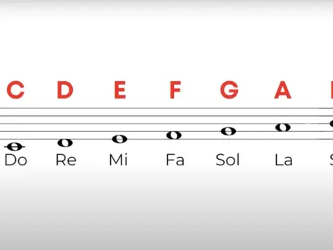 Note Musicali - Ordine, Alterazioni e Lettura Facile
