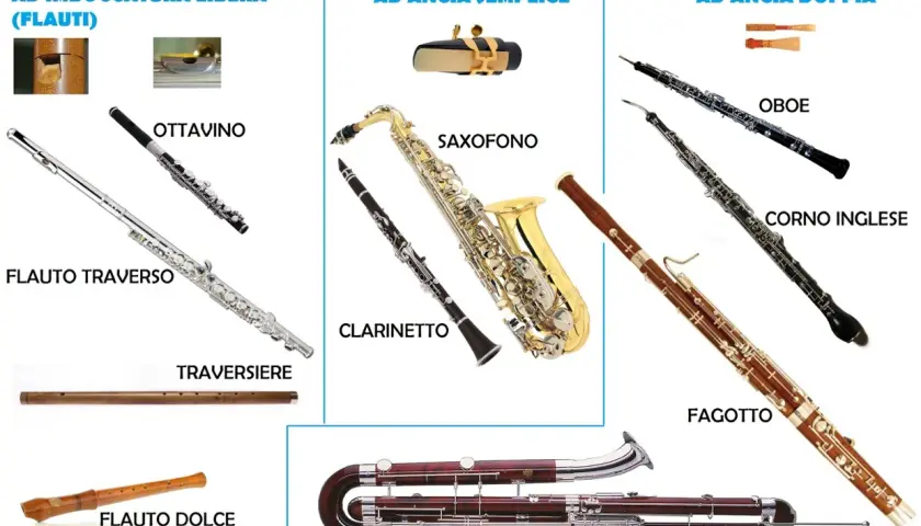 Vari strumenti a fiato in legno: flauto, clarinetto, sassofono, oboe, fagotto e controfagotto.