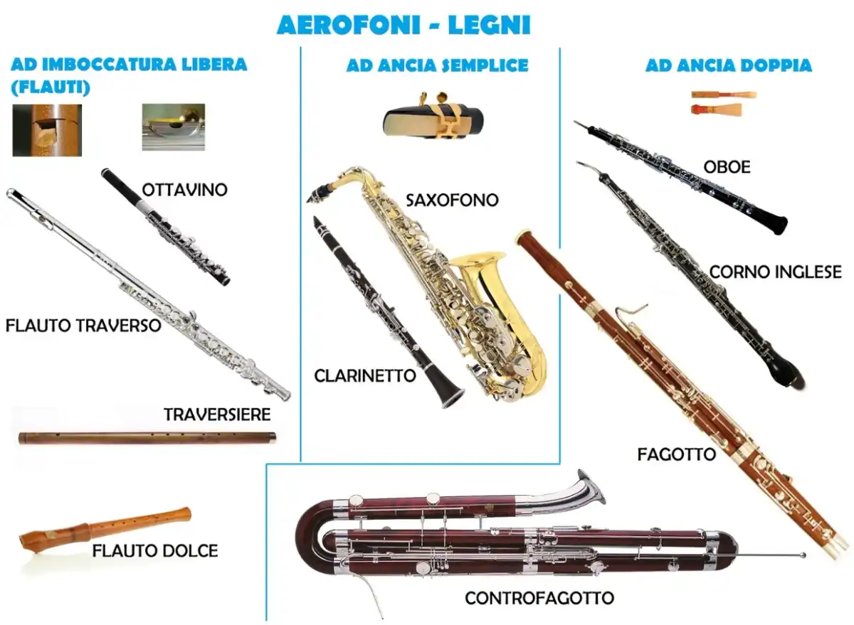 Strumenti a fiato, legni e ottoni - come scegliere