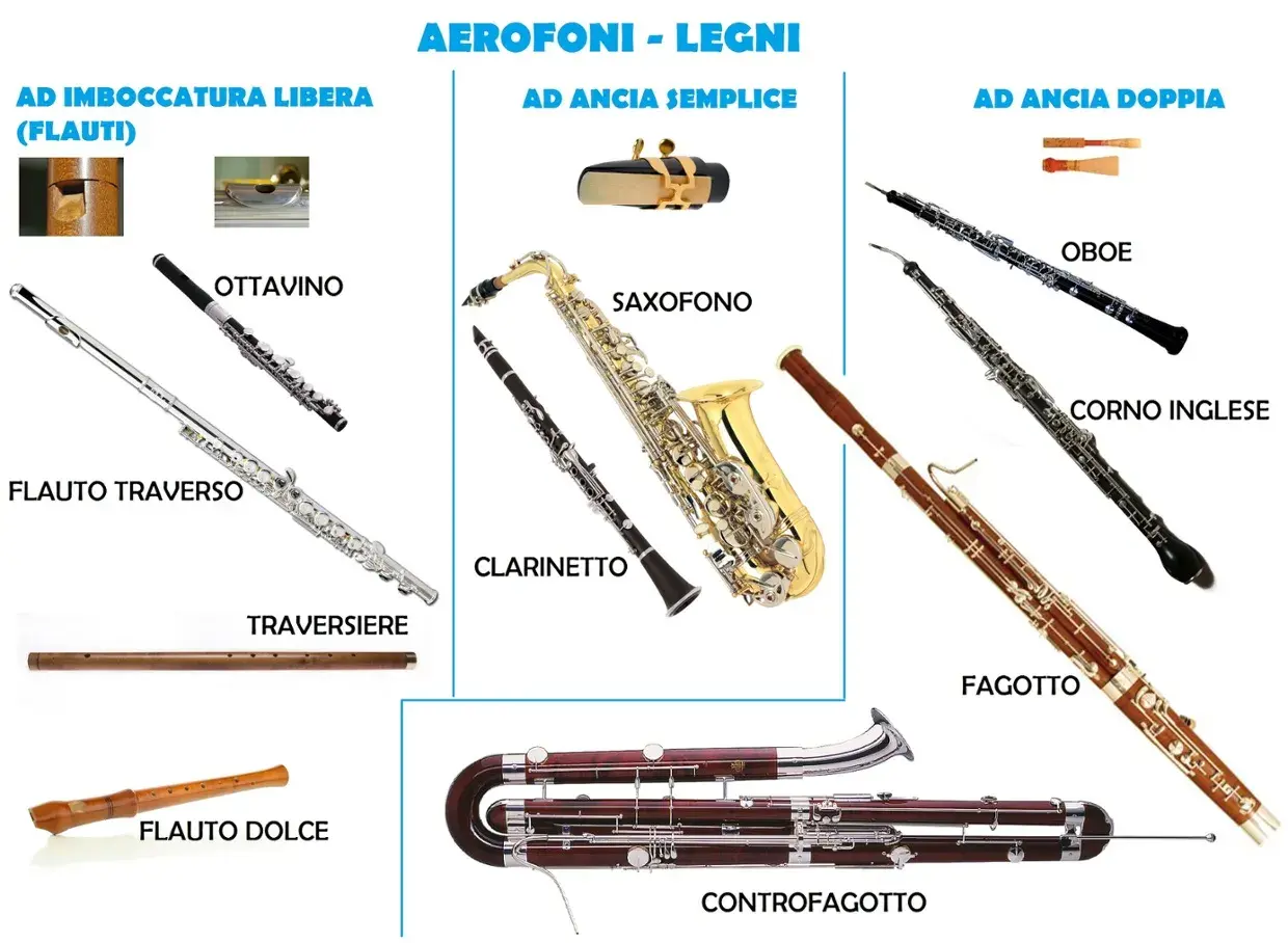 Vari strumenti a fiato in legno: flauto, clarinetto, sassofono, oboe, fagotto e controfagotto.