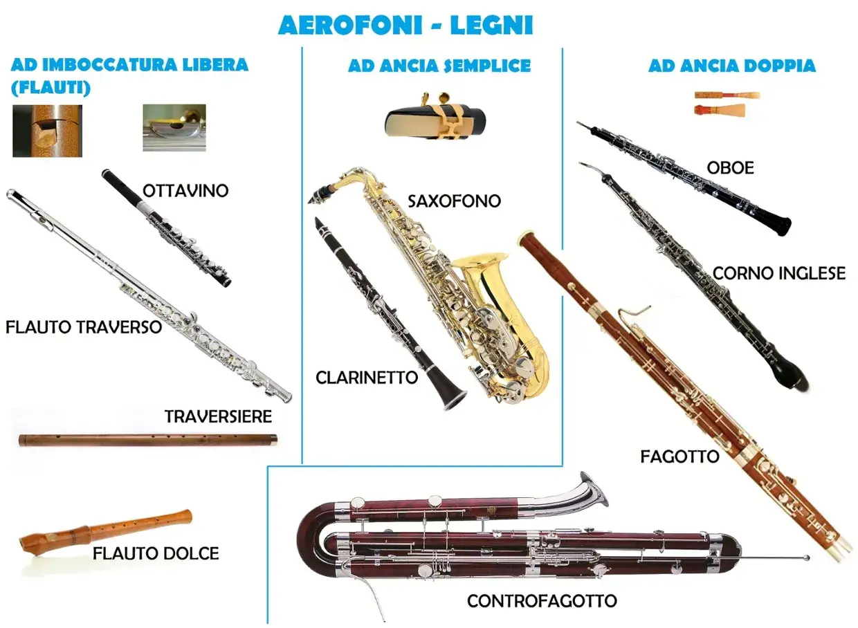 Vari strumenti a fiato: flauto traverso, ottavino, clarinetto, sassofono, oboe, corno inglese, fagotto e controfagotto.